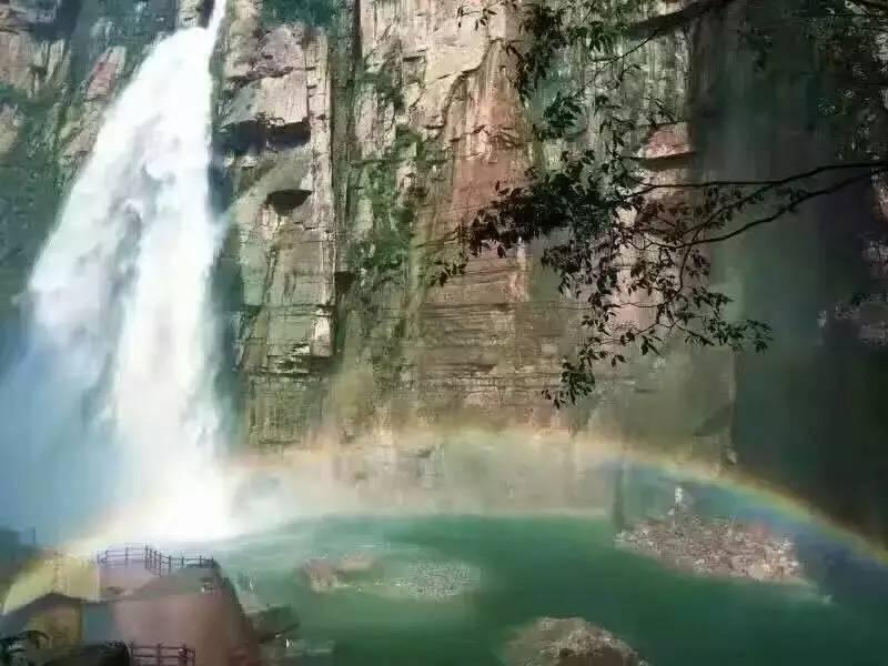 猫体温多少正常- 专业有问必答平台